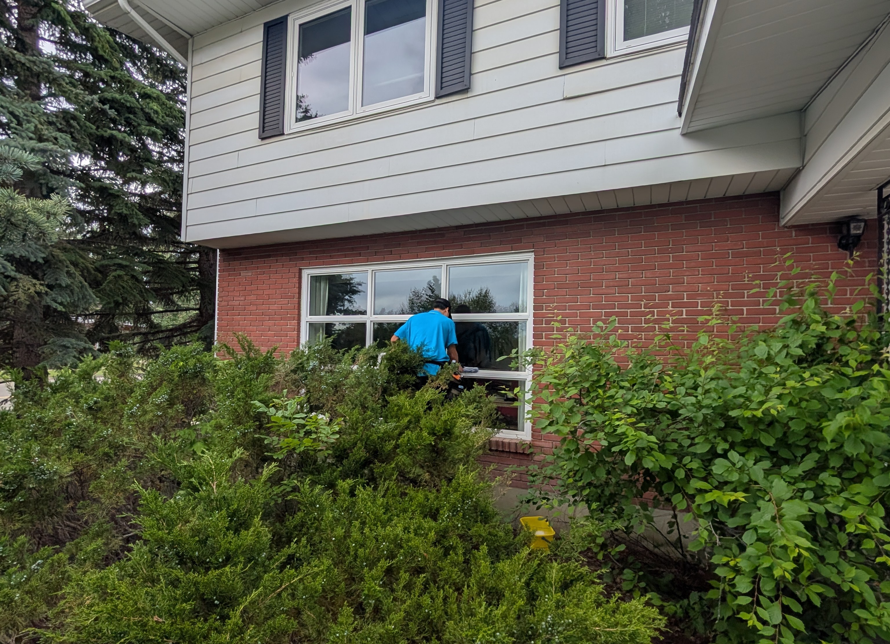 Main image for Window Frame Restoration